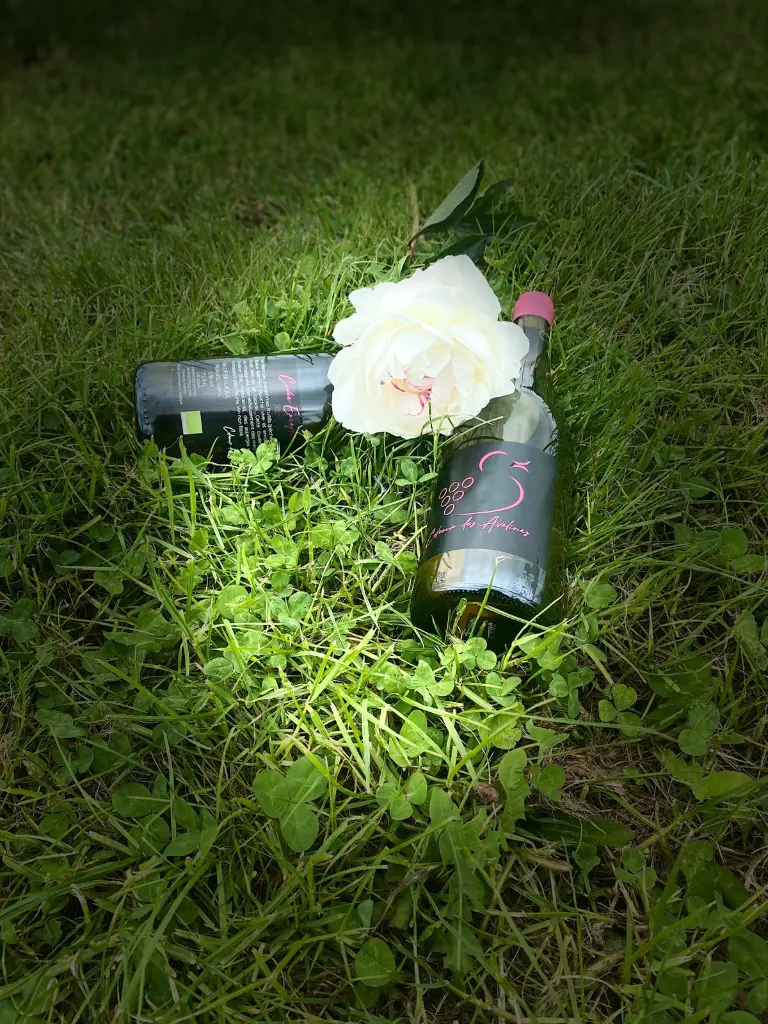 IMG-20250527-WA0088.webp